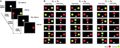 Oculomotor and Inhibitory Control in Dyslexia